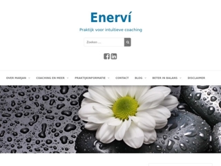 ENERVU