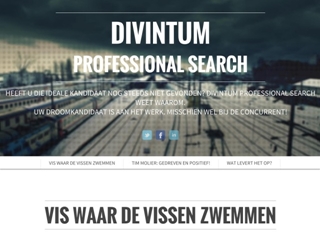 DIVINTUM EXECUTIVE SEARCH