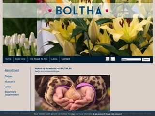 BOLTHA BV