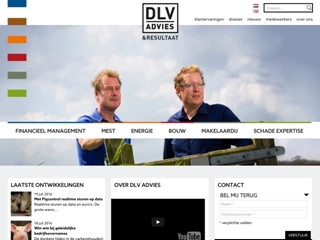 DLV MAKELAARDIJ BV