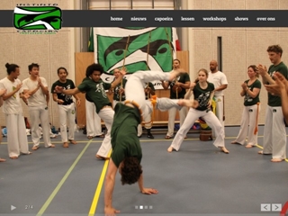 INSTINTO CAPOEIRA