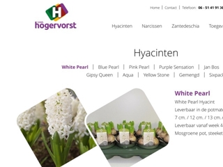HOGERVORST EN ZN FIRMA GEBROEDERS