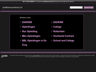 ZADKINE CONTRACT ACTIVITEITEN BV