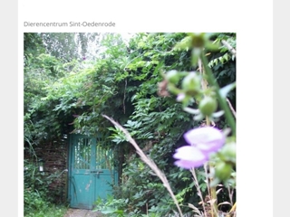 DIERENCENTRUM ST OEDENRODE