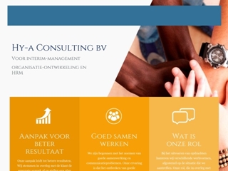 HY-A CONSULTING BV