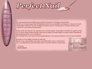 PERFECT NAIL NAGELSTUDIO