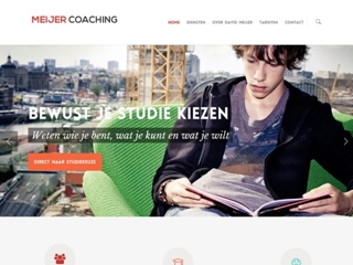 MEIJER COACHING