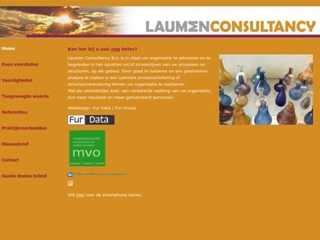 LAUMENCONSULTANCY BV