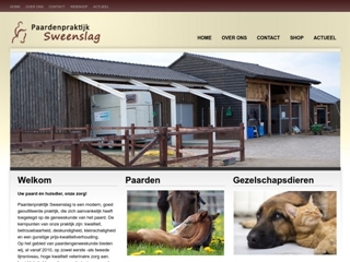 PAARDENPRAKTIJK SWEENSLAG