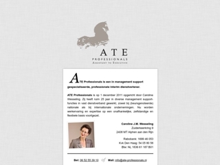 ATE-PROFESSIONALS