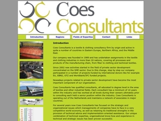 COES CONSULTANTS