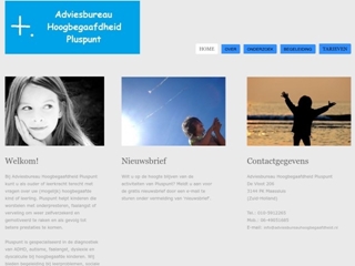 ADVIESBUREAU HOOGBEGAAFDHEID PLUSPUNT