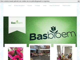 BAS BLOEM
