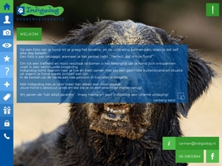 INDIGODOG HONDENFOTOGRAFIE