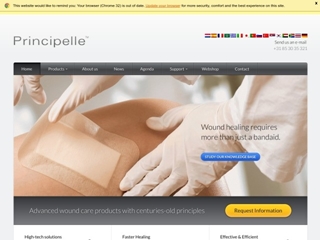 PRINCIPELLE BV