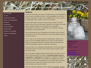 HOOYMAN DIRECTIE MANAGEMENT DIENSTEN BV