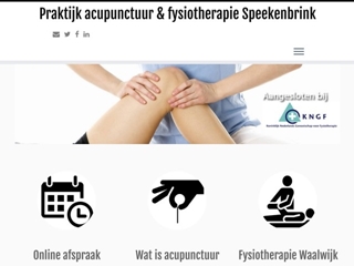 SPEEKENBRINK ACUPUNCTURIST B