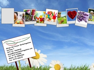 MIRJAN DEN DRIJVER MARKETINGADVIES