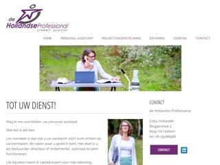 DE HOLLANDSE PROFESSIONAL