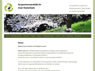 AN MIAN ACUPUNCTUUR PRAKTIJK