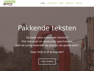 REINDER BOEVE TEKSTSCHRIJVER