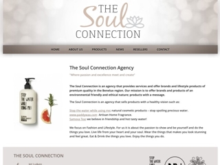 SOUL CONNECTION AGENCY THE