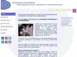 RAAIJMAKERS PROCESADVIES