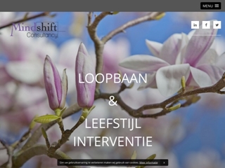 MINDSHIFT CONSULTANCY