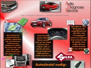 AUTO DIAGNOSE SERVICE