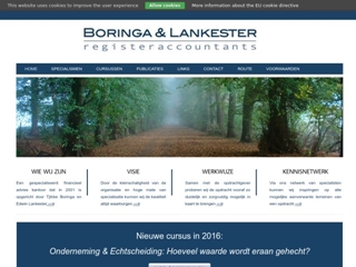 BORINGA & LANKESTER REGISTERACCOUNTANTS
