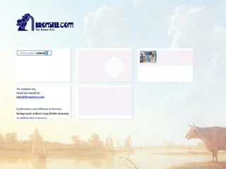 BRONSTEE.COM SOFTWARE & SERVICES BV