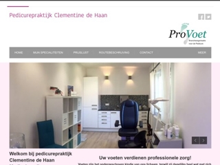 CLEMENTINE DE HAAN PEDICUREPRAKTIJK