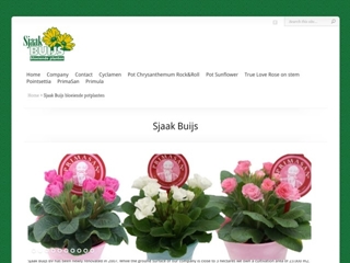 BUIJS BV SJAAK