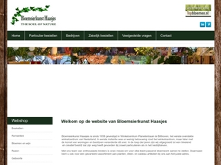 HAASJES BV BLOEMSIERKUNST T