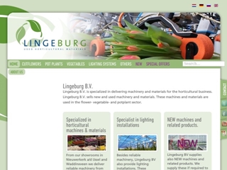 LINGEBURG BV