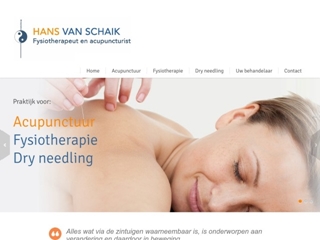 ACUPUNCTUURPRAKTIJK H VAN SCHAIK
