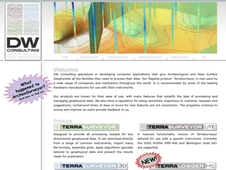 DW CONSULTING