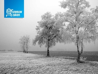 SNEEUWZAKEN