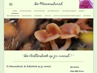 WEEVERSBORCH B & B DE