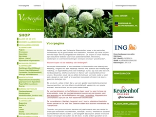 VERBERGHE BLOEMBOLLEN