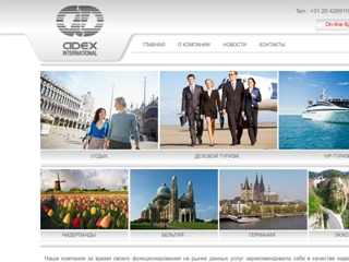 ADEX INTERNATIONAL