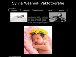 SYLVIA WEENINK VAKFOTOGRAFIE EN TROUWFOGRAFIE