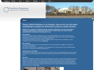BERGMANS J