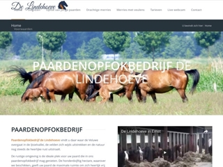 PAARDENOPFOKBEDRIJF DE LINDEHOEVE
