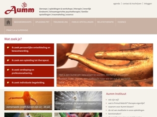 AUMM INSTITUUT