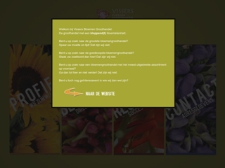 VISSERS SNIJBLOEMEN GROOTHANDEL