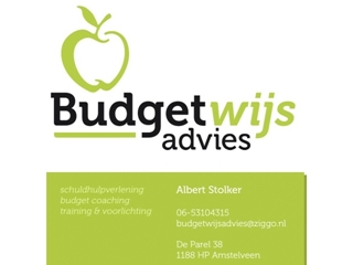 BUDGETWIJS ADVIES