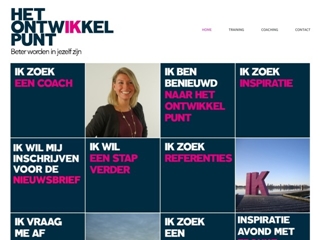 HET ONTWIKKELPUNT