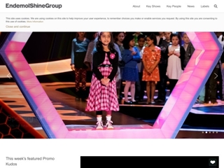 ENDEMOL HOLDING BV