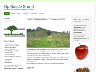 OP GOEDE GROND